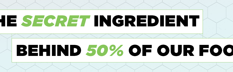The Secret Ingredient Behind 50% of Our Food