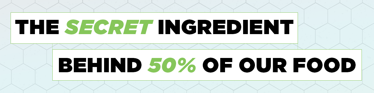 The Secret Ingredient Behind 50% of Our Food