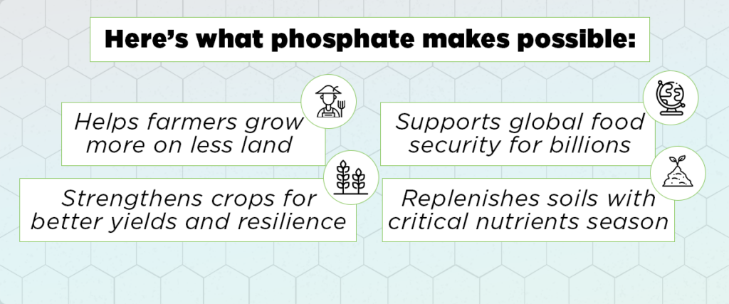 Here’s what phosphate makes possible: Helps farmers grow more on less land Strengthens crops for better yields and resilience Supports global food security for billions Replenishes soils with critical nutrients season after season