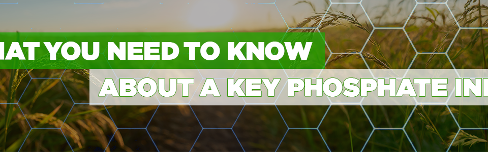 What you need to know about a key phosphate input