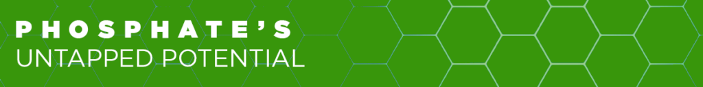 Phosphate's untapped potential